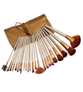 NAKED 24 PIECE BRUSH SET WITH LEATHER POUCH