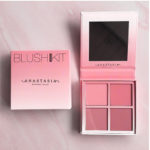 Dl176-blushon-concealer-brushes-lipstick 7